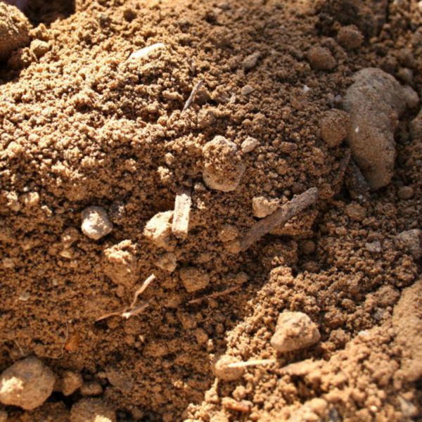 CEMEX Terre végétale big bag de 1,3 t