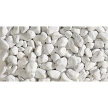 Galet Blanc 1,8Kg - Galets Decoratif - Galet Aquarium - Cailloux Decoratif  - Galets Blanc Jardin - Gravier Jardin Exterieurr (6-10 mm) (Blanc) :  : Animalerie