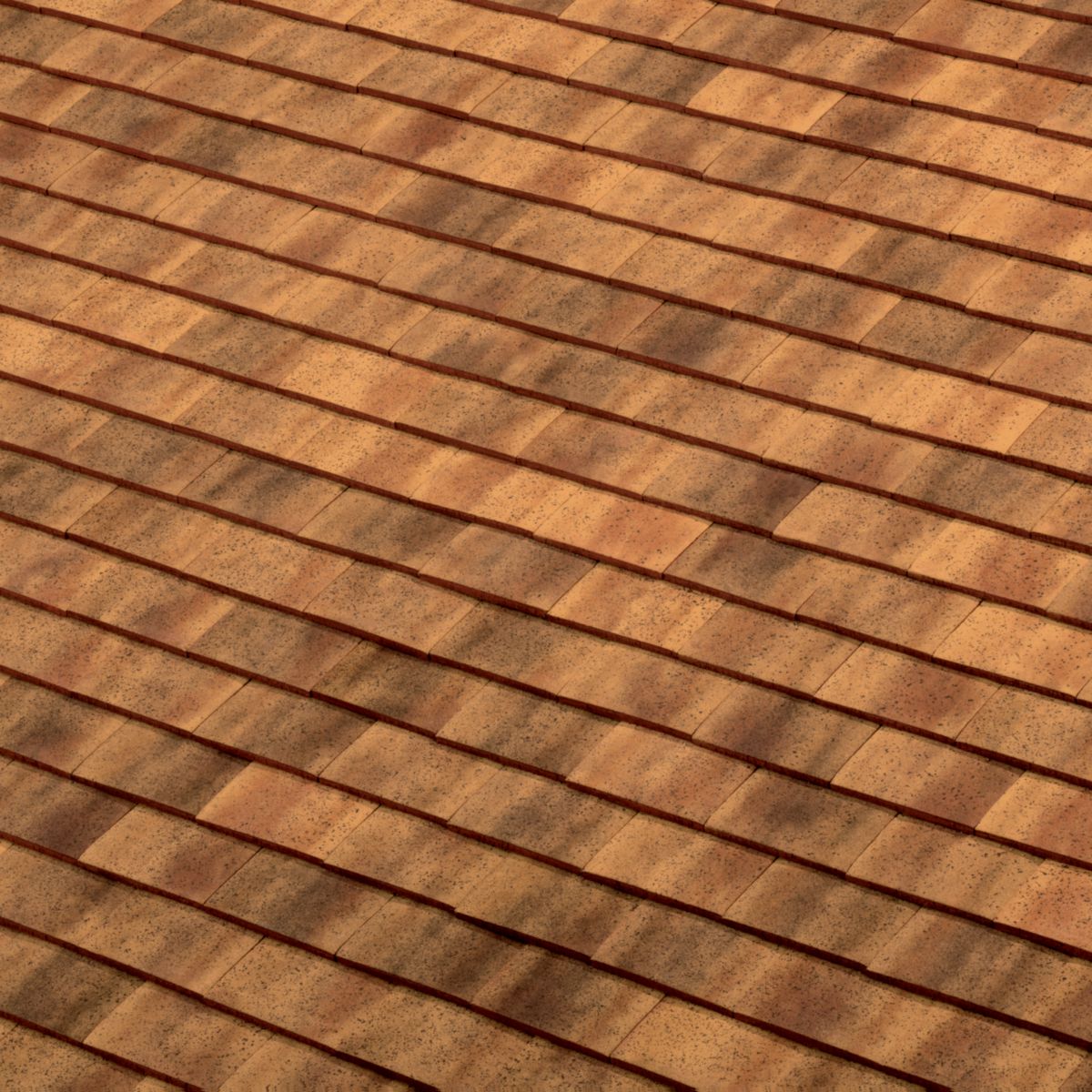 TERREAL Tuile normande Rustique 1 NO terre cuite sablé ocre