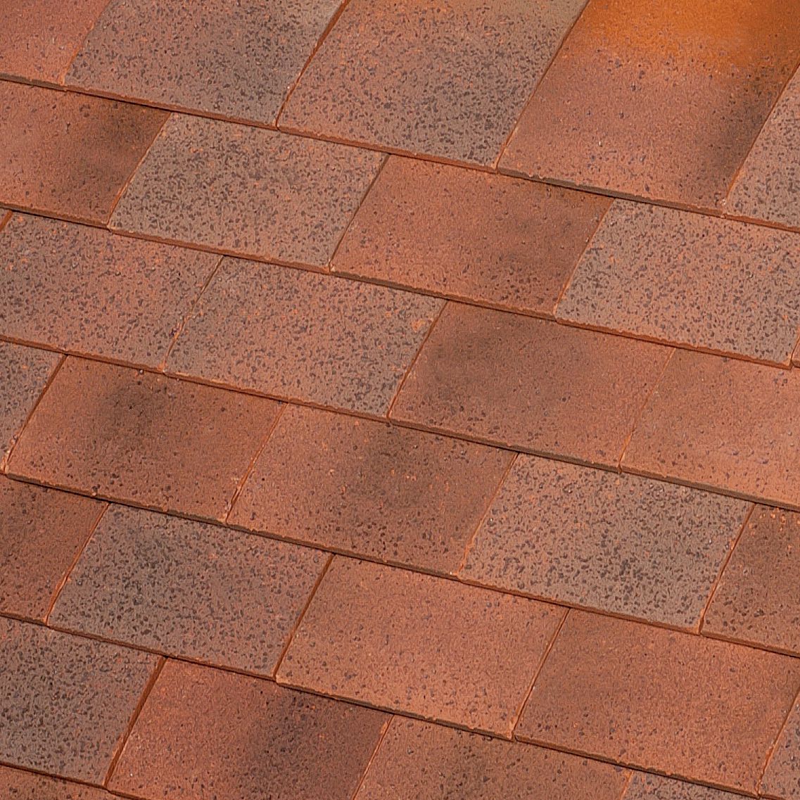 TERREAL Tuile plate terre cuite Sologne 1P17 17x28cm Vieilli sologne Réf. 137723 POINT.P