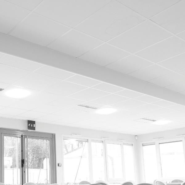 Tonga plafond