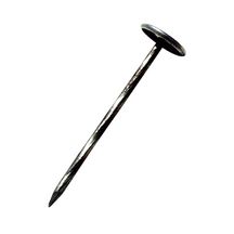 Clou calotin zingué 80x3,4mm boîte de 250 réf. 770459