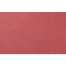 Faïence pour mur intérieur Liv'In - blush red - 26,7x41,6 cm