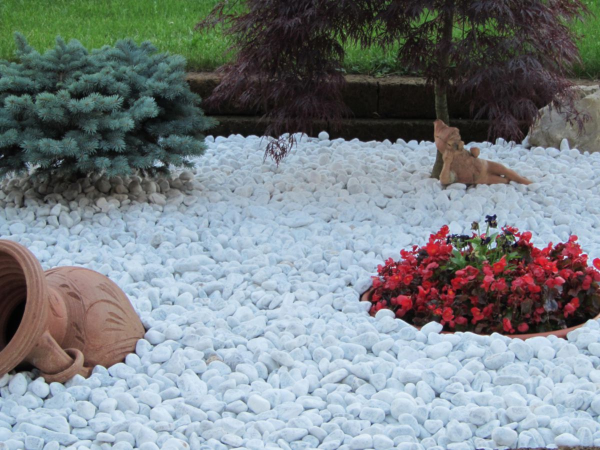 GRANULATI ZANDOBBIO Galet de marbre blanc roul 40 60 mm